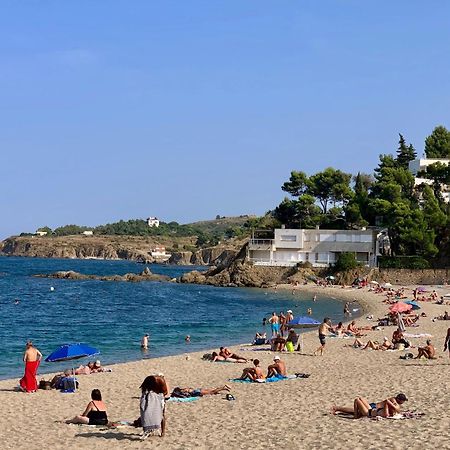Studio 07 Argeles Sur Mer . La Plage A Pied, L'Espagne A 30 Mn מראה חיצוני תמונה
