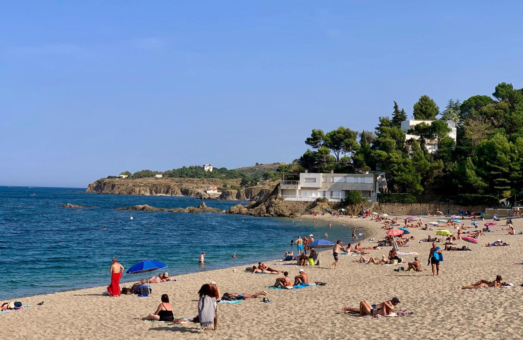 Studio 07 Argeles Sur Mer . La Plage A Pied, L'Espagne A 30 Mn מראה חיצוני תמונה